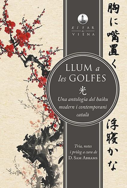 LLUM A LES GOLFES | 9788494906671 | AAVV