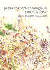 PEDRA FOGUERA. ANTOLOGIA DE POESIA JOVE DELS PAÏSOS CATALANS | 9788496841659 | AAVV