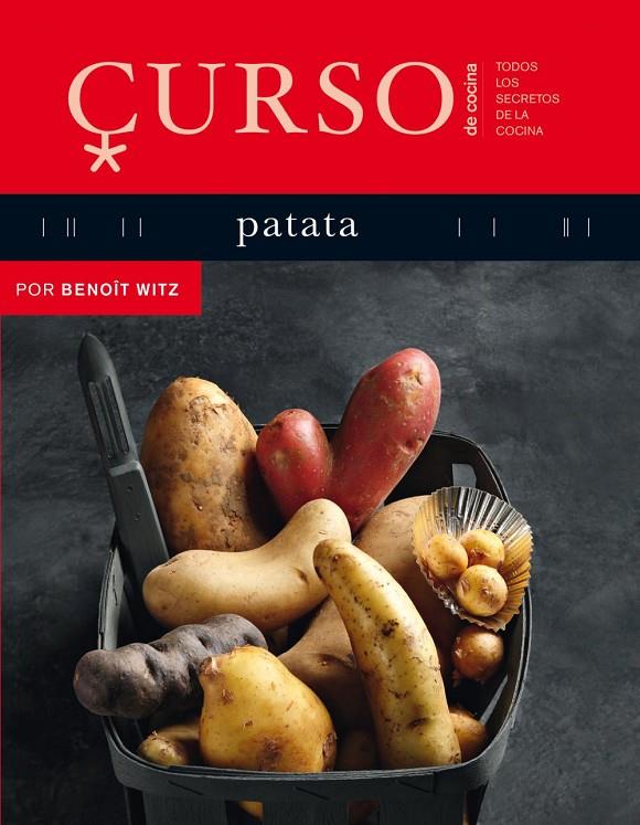 CURSO DE COCINA: PATATA | 9788496669611 | WITZ, BENOIT