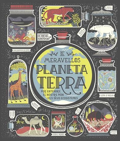 MERAVELLOS PLANETA TERRA, EL  | 9788491378778 | IGNOTOFSKY, RACHEL