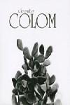 VICENTE COLOM | 9788448249915 | COLOM, VICENTE (1941- )