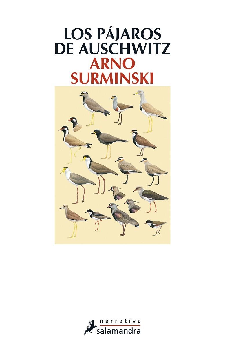 PAJAROS DE AUSCHWITZ, LOS | 9788498384987 | SURMINSKI, ARNO