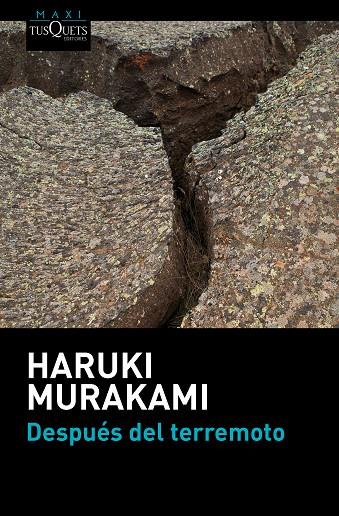 DESPUES DEL TERREMOTO | 9788483838891 | MURAKAMI, HARUKI