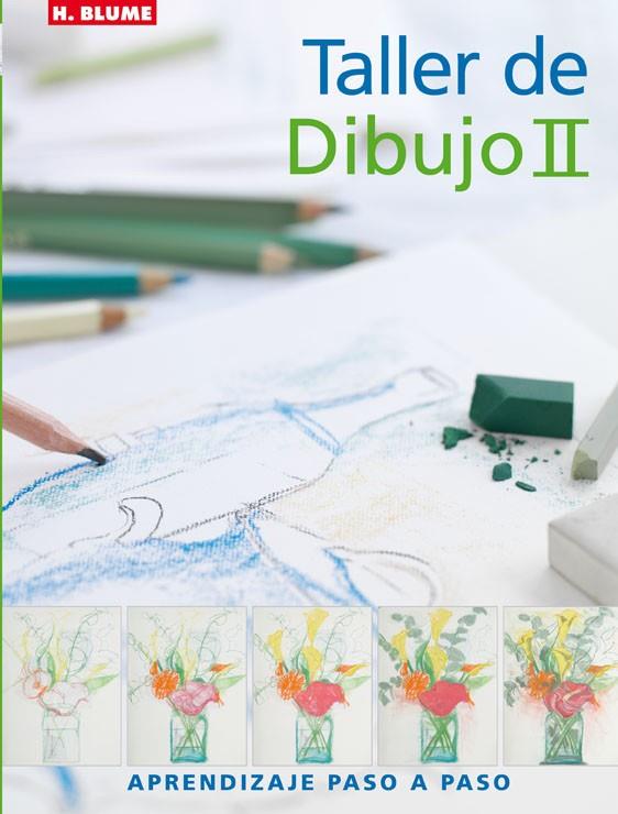 TALLER DE DIBUJO II | 9788496669369 | AAVV