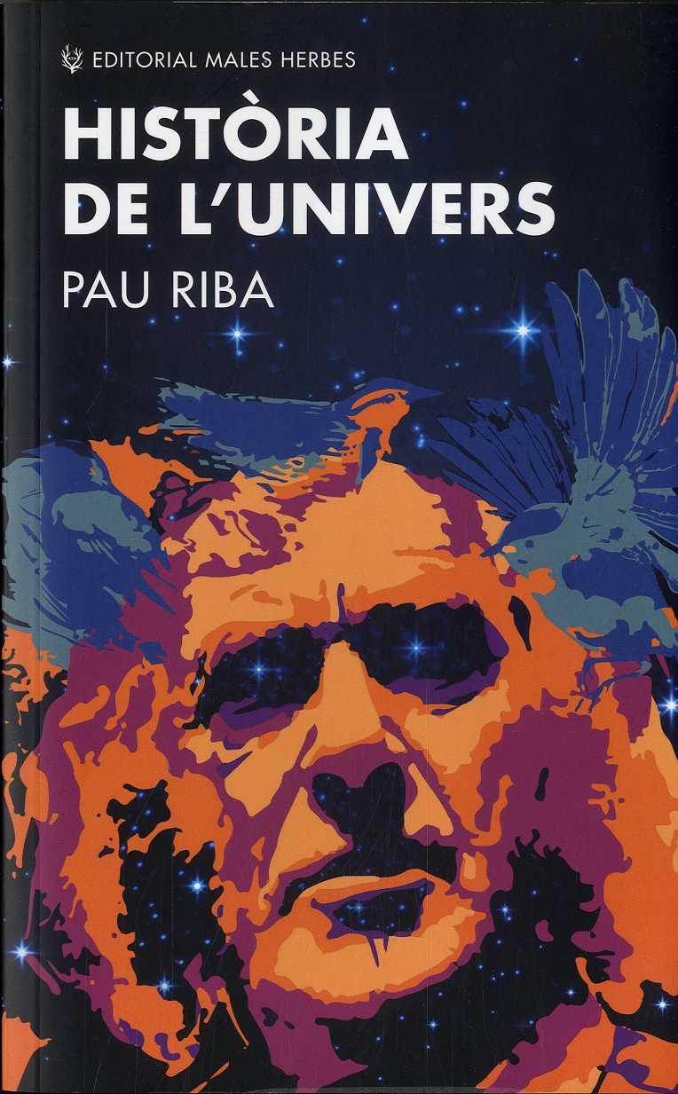 HISTORIA DE L'UNIVERS | 9788412216776 | RIBA, PAU