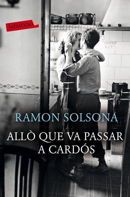 ALLÒ QUE VA PASSAR A CARDÓS | 9788417420239 | SOLSONA, RAMON