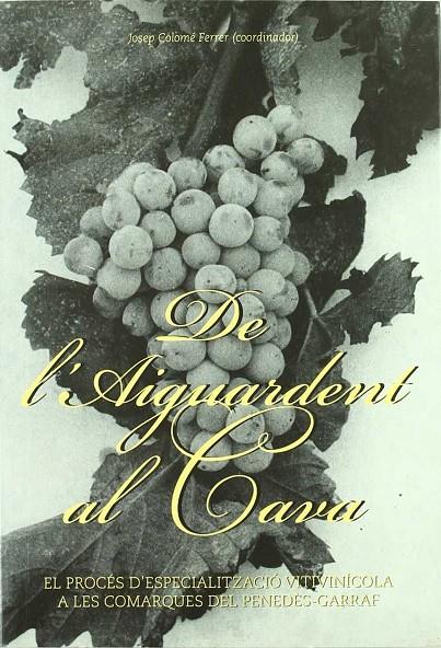 DE L'AIGUARDENT AL CAVA. EL PROCES D'ESPECIALITZACIO VITIVIN | 9788493240530 | COLOME FERRER, JOSEP (COORD)