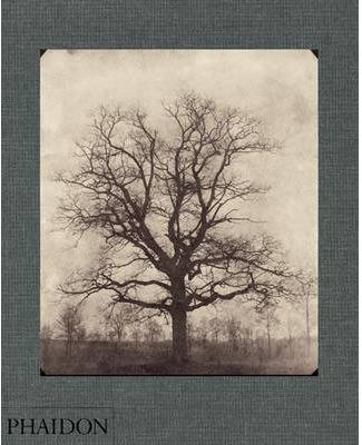 WILLIAM HENRY FOX TALBOT | 9780714841984 | FOX TALBOT, WILLIAM HENRY