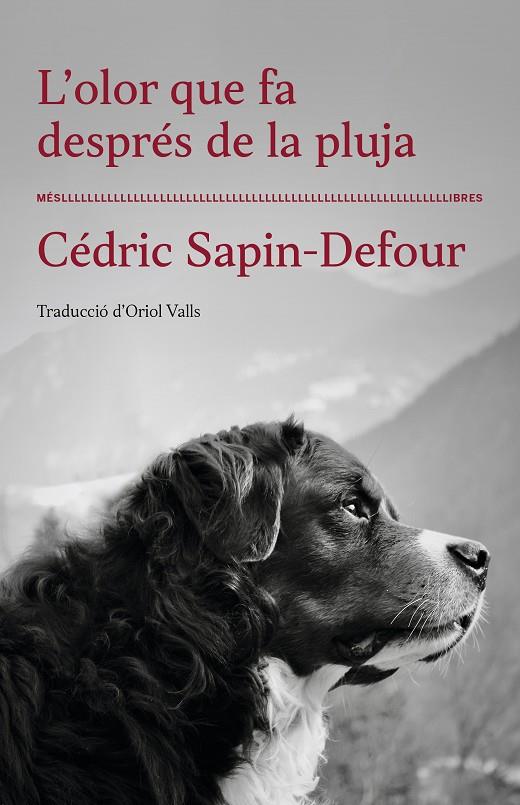 OLOR QUE FA DESPRÉS DE LA PLUJA, L' | 9788417353568 | SAPIN-DEFOUR, CÉDRIC 